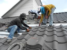 Best Metal Roofing Installation  in Red Lake Falls, MN